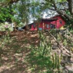 36